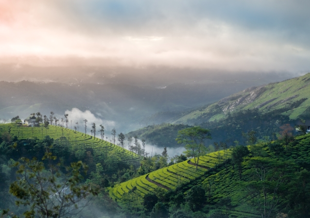Kerala tour packages,Honeybee trips pvt ltd,Best Kerala tour packages from Bangalore,Best Kerala tour packages from RT Nagar,Best Kerala Honeymoon packages from Bangalore,Best travel agency in RT Nagar,Best Kerala trips from Bangalore,Best Kerala trips from RT Nagar,top 10 Kerala tour packages in RT Nagar,top 10 Kerala tour packages in Bangalore,Honeybeetrips,Kerala trips,Kerala packages,Honeybee trips Bangalore.